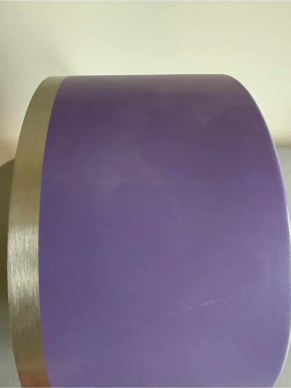 Large Insulated Dog Bowl